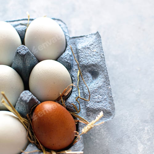 Preview: Fresh Cotswold egg in a carton