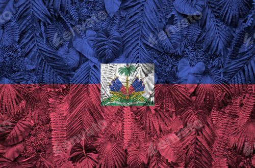 Preview: Haiti flag depicted on many leafs of monstera palm trees. Trendy fashionable background