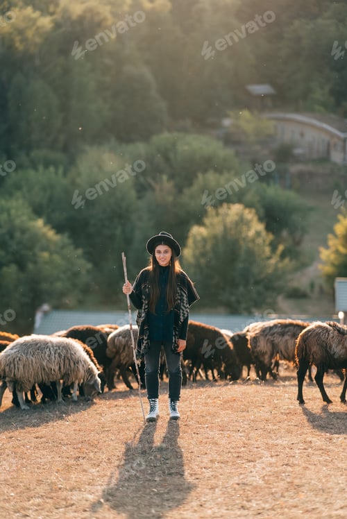 Preview: Female shepherd and flock of sheep at a lawn
