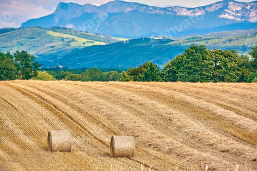 Preview: Countryside, farmland and forest - close to Lyon, France