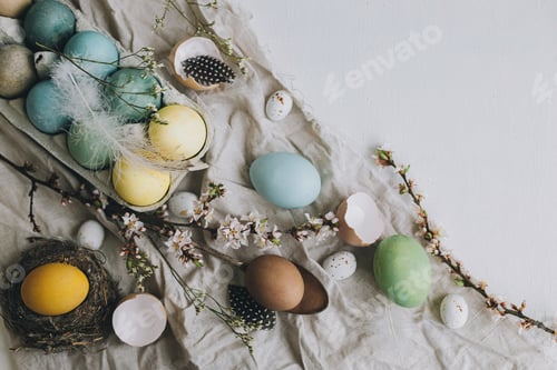 Preview: Stylish rustic Easter flat lay. Natural dyed colorful eggs, cherry blossoms, feathers, nest