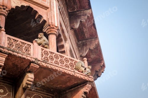Preview: Exterior view of the Taj Mahal palace and mauseleum, a UNESCO world heritage site. Monkeys seated on