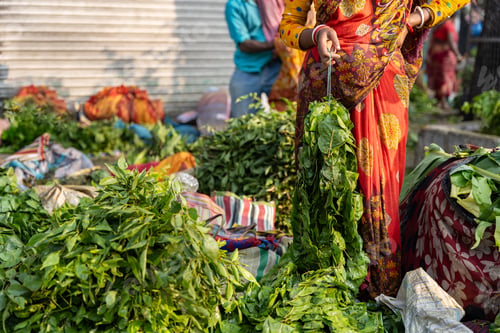Preview: Indian woman selling curry leaves in a street market