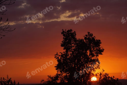 Preview: sun
