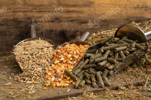 Preview: Animal feed variety with oats, corn, and pellets.
