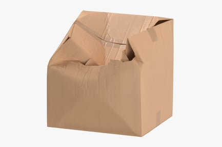 Preview: Heavily Damaged Cardboard Box