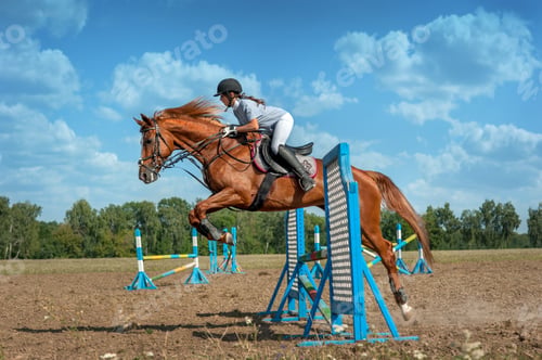 Preview: A horse with a rider at the moment of jumping over a pole obstacle at competition