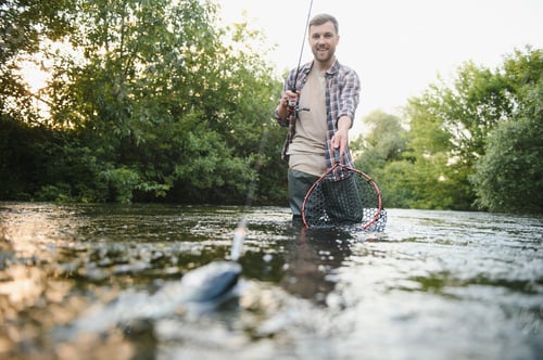 Preview: Fisherman catches a trout on the river in summer