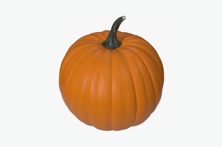 Preview: Close-up of a single, tilted orange pumpkin
