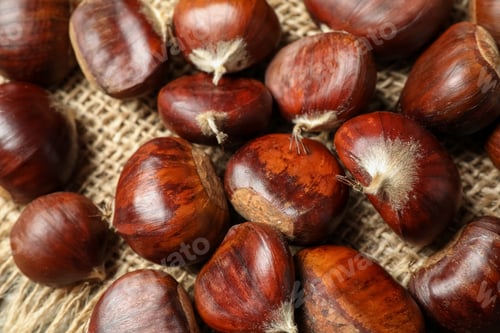 Preview: Fresh sweet edible chestnuts on sackcloth, closeup