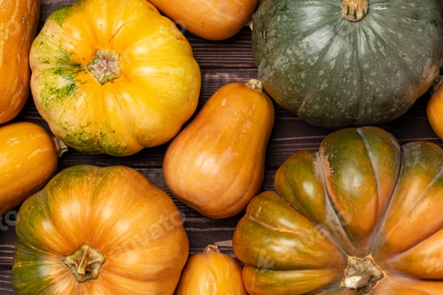 Preview: Background of a lot of colorful pumpkins