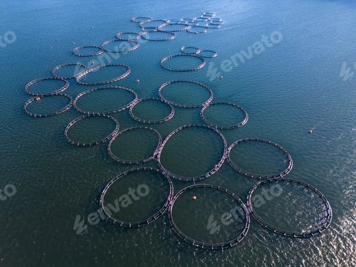 Preview: Salmon fish farm in the river aerial view