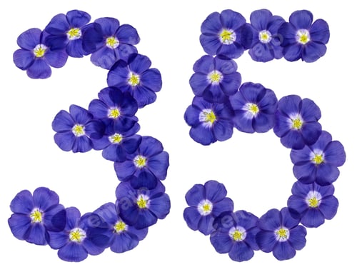 Preview: Arabic numeral 35, thirty five, from blue flowers of flax, isolated on white background