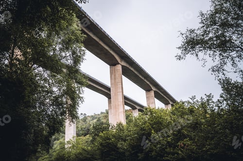 Preview: Bridge over forest valley landscape