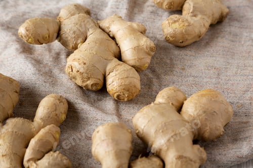 Preview: Raw Organic Ginger Root on cloth, low angle view. Close-up.