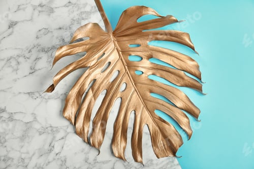 Preview: Painted tropical Monstera leaf on color background, top view