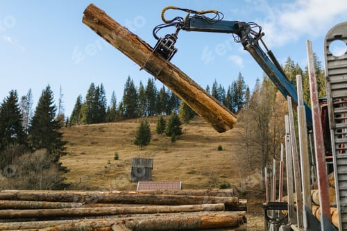 Preview: Crane loading wood into wood truck and the wood grapple holding a log in the air