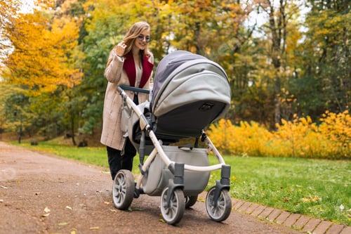 Preview: Cheerful mother with stroller walks in autumn park away from the bustle of the city