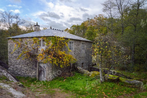Preview: An old stone mill with a vine around the entrance gate
