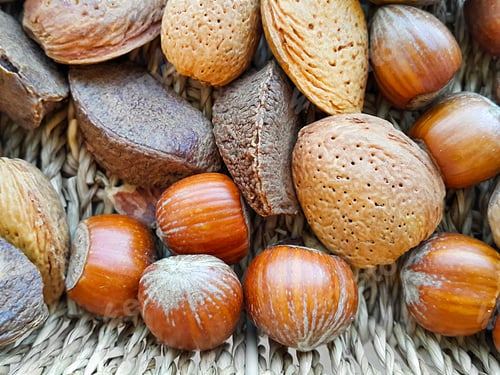 Preview: Various nuts in the shell