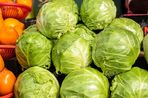 Preview: Heap of green cabbage at the market