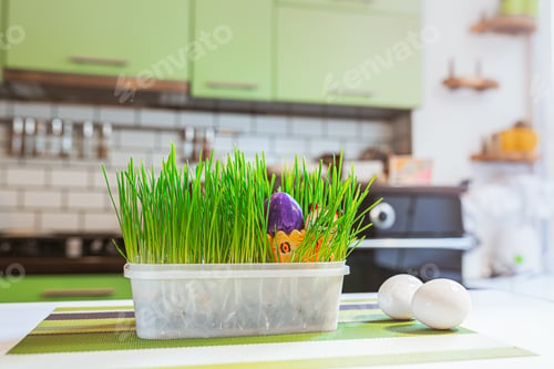 Preview: Easter eggs in flowerpot with green grass