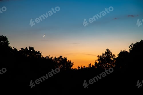 Preview: Beautiful shot of a sunset behind the trees
