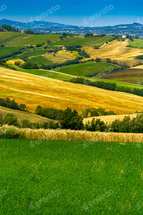 Preview: Rural landscape along the road from Fano to Mondavio, Marche