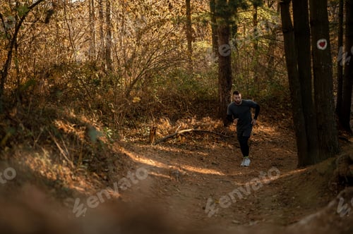 Preview: Male athlete running on a trail in autumn forest