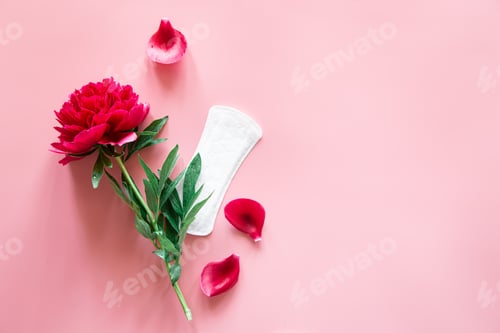 Preview: Women's pad and flower, flat lay, women's health and menstruation concept.