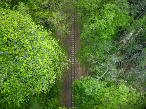 Preview: Aerial view of a train railroad in the green forest. children's narrow gauge railway
