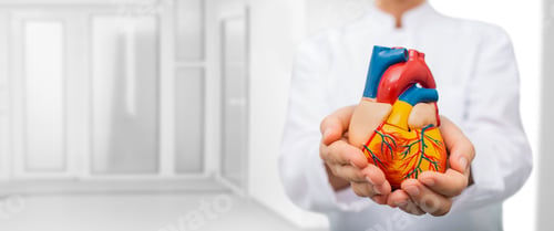 Preview: Treatment concept for heart disease, heart attacks, and myocardial infarction. Experienced