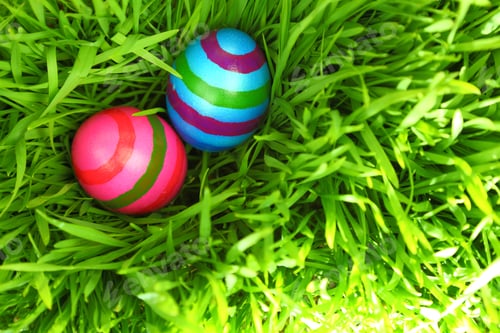 Preview: Colorful Easter eggs on fresh green grass