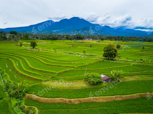 Preview: beautiful morning view from Indonesia