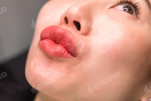 Preview: Makeup. Lip matte lipstick. Sexy pink lips. Part of face, young woman