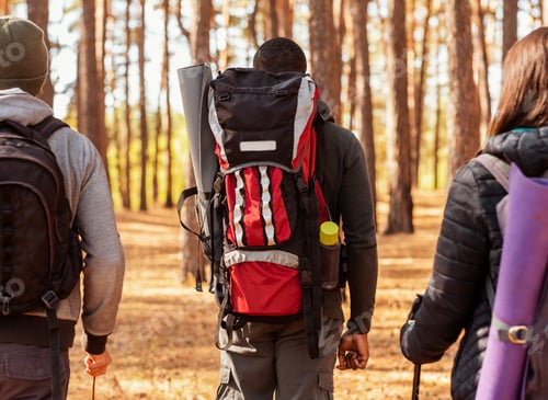 Preview: Closeup of three backpackers walking by pine forest