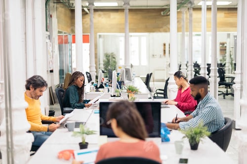 Preview: Office Workers in Co-Working Office