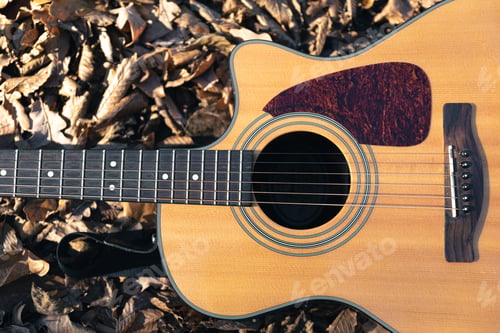 Preview: Acoustic guitar in the forest among dry autumn leaves.