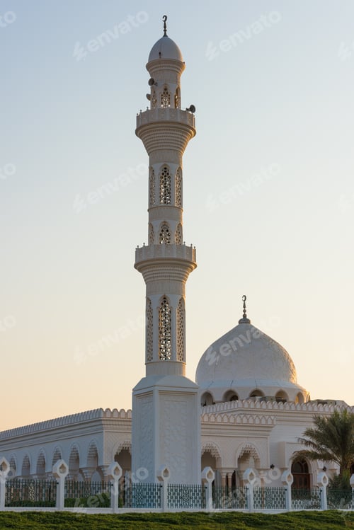Preview: Mosque in Liwa oasis, Abu Dhabi, United Arab Emirates