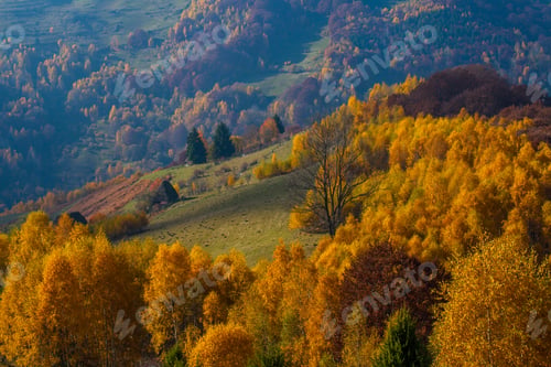 Preview: Autumn landscape from Transylvania, Romania