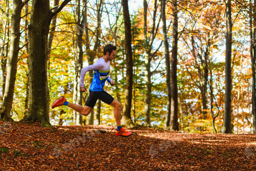 Preview: Running in the autumn forest