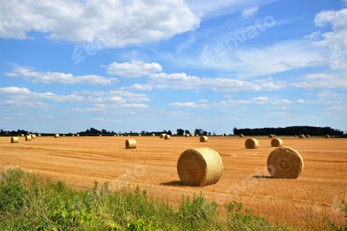 Preview: Harvesting hay in the countryside