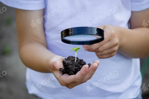 Preview: the child holds soil with a sprout in his hand and looks through a magnifying glass.