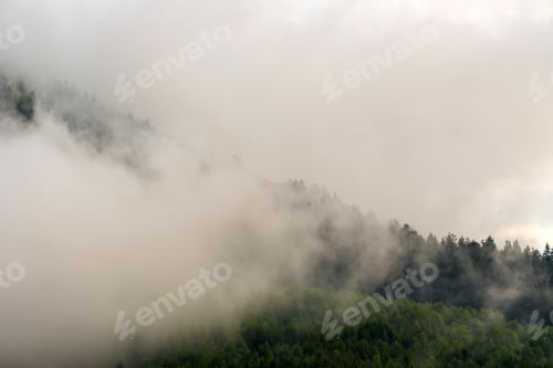 Preview: View of mountain forests covering by fog