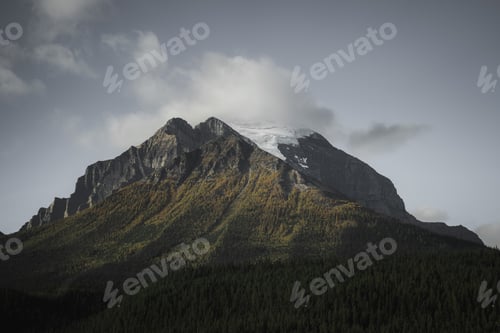 Preview: Mountain View