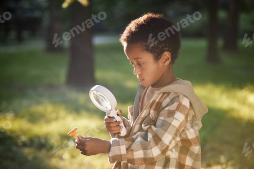 Preview: Little Boy Gathering Mushroom in Forest