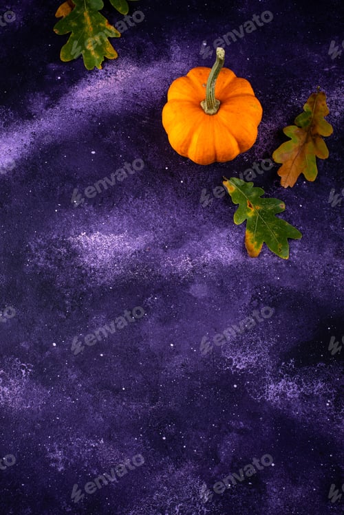 Preview: Various decorative pumpkins. Autumn harvest