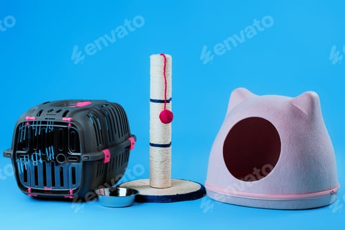 Preview: Set of pet supplies for kitty cat on blue background