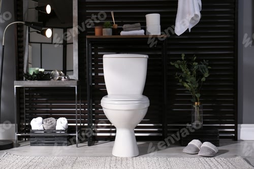 Preview: Stylish bathroom interior with toilet bowl and other essentials