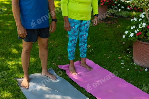 Preview: Senior Couple Practicing Yoga Outside on Lawn